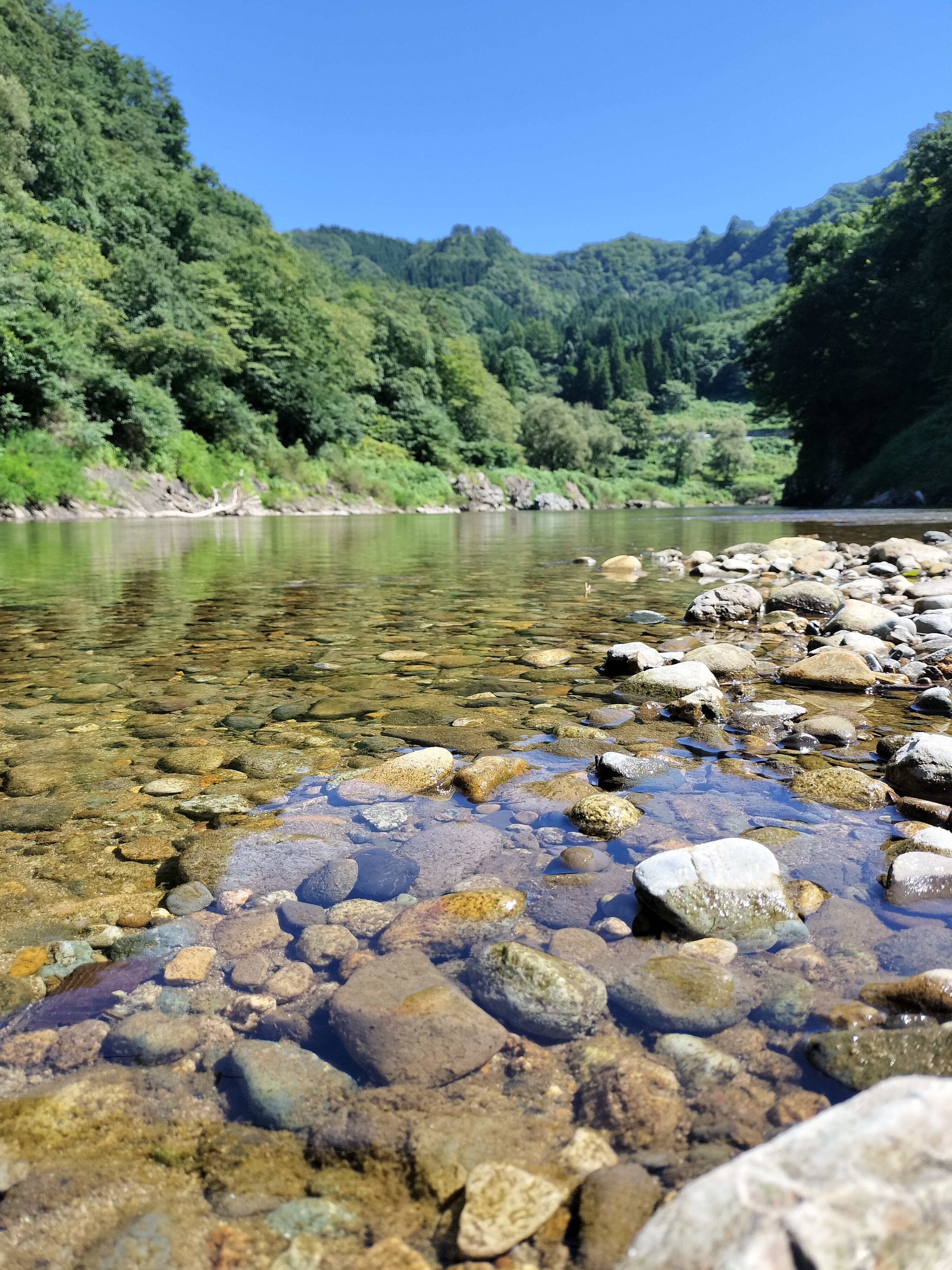 株式会社 佐々木エンジニアリング｜岩手県一関市 画像外観検査・省力化装置